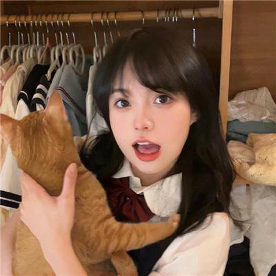 探长来访