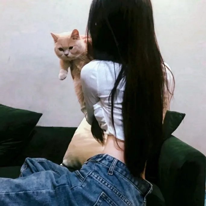 愤怒的小鸟2